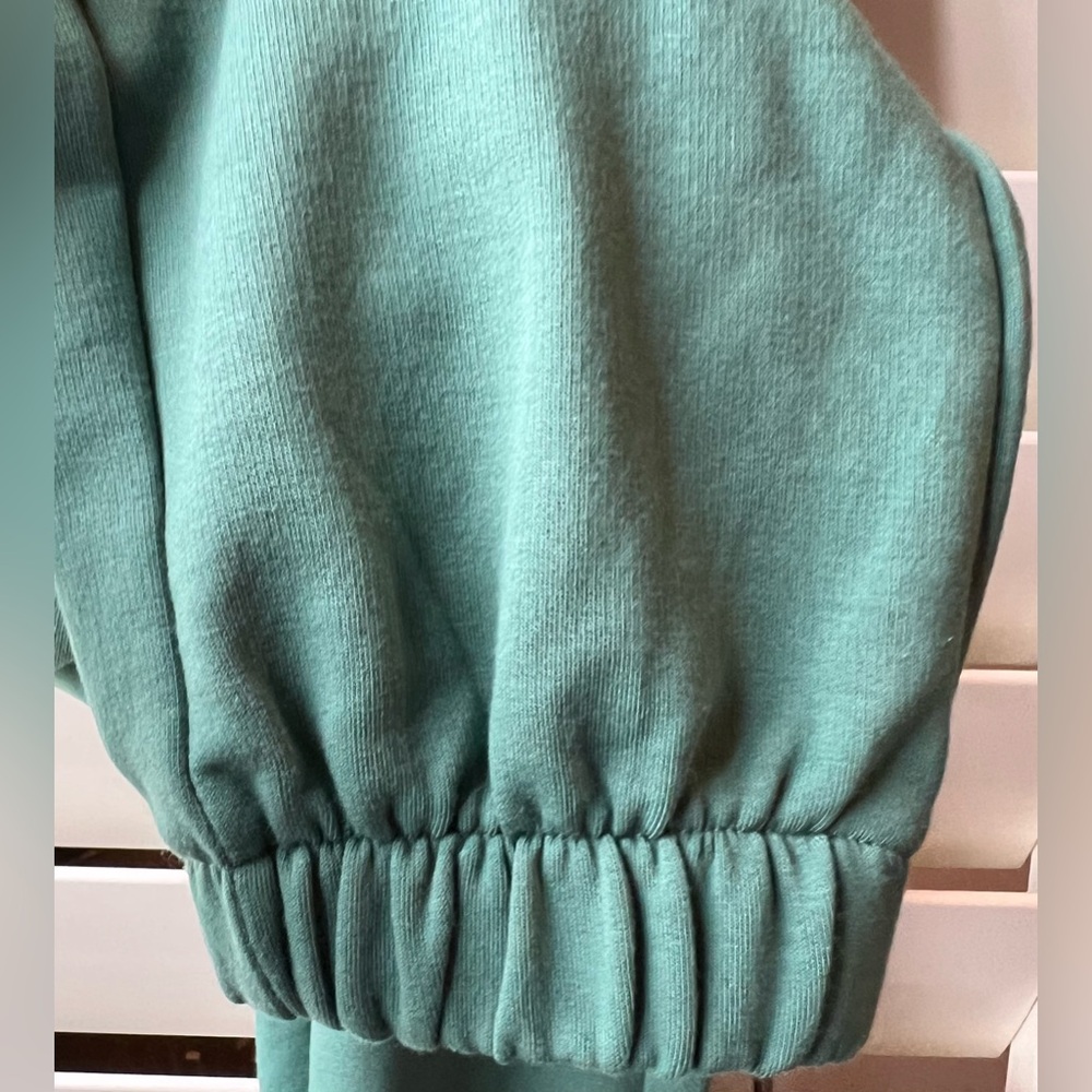 DSG -Green -(Tag says Blue) XS Drawstring/Waistband Sweatpants - Picture 2 of 12